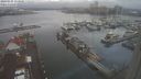 ./images/victoria/wharf/20240121/wharf20240121_113500.jpg