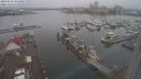 ./images/victoria/wharf/20240121/wharf20240121_123500.jpg