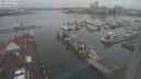 ./images/victoria/wharf/20240121/wharf20240121_124000.jpg