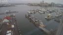 ./images/victoria/wharf/20240121/wharf20240121_124500.jpg