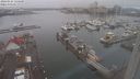 ./images/victoria/wharf/20240121/wharf20240121_125500.jpg