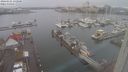 ./images/victoria/wharf/20240121/wharf20240121_132500.jpg