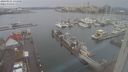 ./images/victoria/wharf/20240121/wharf20240121_134000.jpg