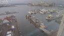 ./images/victoria/wharf/20240121/wharf20240121_134500.jpg