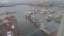 ./images/victoria/wharf/20240121/wharf20240121_135000.jpg