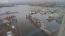 ./images/victoria/wharf/20240121/wharf20240121_135500.jpg