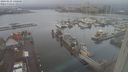 ./images/victoria/wharf/20240121/wharf20240121_140001.jpg