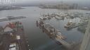 ./images/victoria/wharf/20240121/wharf20240121_140500.jpg