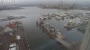 ./images/victoria/wharf/20240121/wharf20240121_141000.jpg