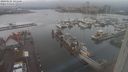 ./images/victoria/wharf/20240121/wharf20240121_141500.jpg