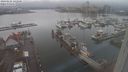 ./images/victoria/wharf/20240121/wharf20240121_142000.jpg