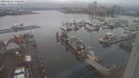 ./images/victoria/wharf/20240121/wharf20240121_142500.jpg