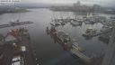 ./images/victoria/wharf/20240121/wharf20240121_143500.jpg