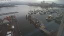 ./images/victoria/wharf/20240121/wharf20240121_144000.jpg