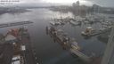 ./images/victoria/wharf/20240121/wharf20240121_144501.jpg