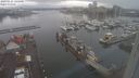 ./images/victoria/wharf/20240121/wharf20240121_145000.jpg