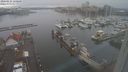 ./images/victoria/wharf/20240121/wharf20240121_150500.jpg
