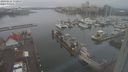 ./images/victoria/wharf/20240121/wharf20240121_151000.jpg