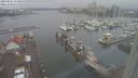 ./images/victoria/wharf/20240121/wharf20240121_152000.jpg