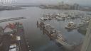 ./images/victoria/wharf/20240121/wharf20240121_153000.jpg