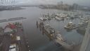 ./images/victoria/wharf/20240121/wharf20240121_155500.jpg