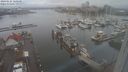 ./images/victoria/wharf/20240121/wharf20240121_160501.jpg