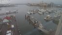 ./images/victoria/wharf/20240121/wharf20240121_164500.jpg