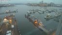 ./images/victoria/wharf/20240122/wharf20240122_081000.jpg