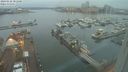 ./images/victoria/wharf/20240122/wharf20240122_081501.jpg