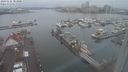 ./images/victoria/wharf/20240122/wharf20240122_083000.jpg