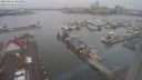 ./images/victoria/wharf/20240122/wharf20240122_085500.jpg