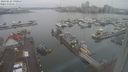 ./images/victoria/wharf/20240122/wharf20240122_091000.jpg