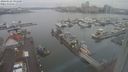 ./images/victoria/wharf/20240122/wharf20240122_091500.jpg