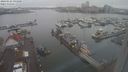./images/victoria/wharf/20240122/wharf20240122_093000.jpg
