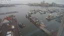 ./images/victoria/wharf/20240122/wharf20240122_093500.jpg
