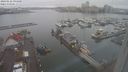 ./images/victoria/wharf/20240122/wharf20240122_094000.jpg