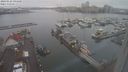 ./images/victoria/wharf/20240122/wharf20240122_094500.jpg