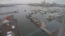 ./images/victoria/wharf/20240122/wharf20240122_095001.jpg