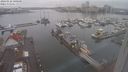 ./images/victoria/wharf/20240122/wharf20240122_100501.jpg