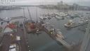 ./images/victoria/wharf/20240122/wharf20240122_101000.jpg