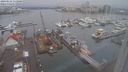 ./images/victoria/wharf/20240122/wharf20240122_111000.jpg