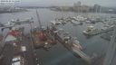 ./images/victoria/wharf/20240122/wharf20240122_111501.jpg