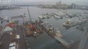 ./images/victoria/wharf/20240122/wharf20240122_112500.jpg