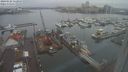 ./images/victoria/wharf/20240122/wharf20240122_113000.jpg