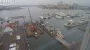 ./images/victoria/wharf/20240122/wharf20240122_114500.jpg
