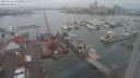 ./images/victoria/wharf/20240122/wharf20240122_115500.jpg