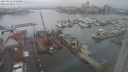 ./images/victoria/wharf/20240122/wharf20240122_120500.jpg