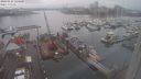 ./images/victoria/wharf/20240122/wharf20240122_124500.jpg