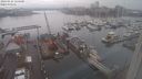 ./images/victoria/wharf/20240122/wharf20240122_125000.jpg