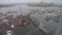 ./images/victoria/wharf/20240122/wharf20240122_132500.jpg